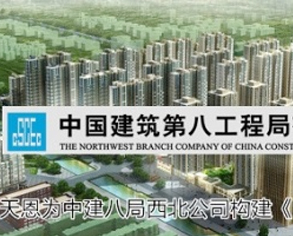中建八局構(gòu)建EPM企業(yè)項目管理平臺
